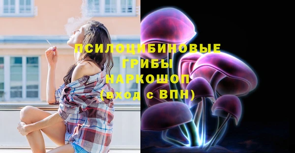 стаф Няндома