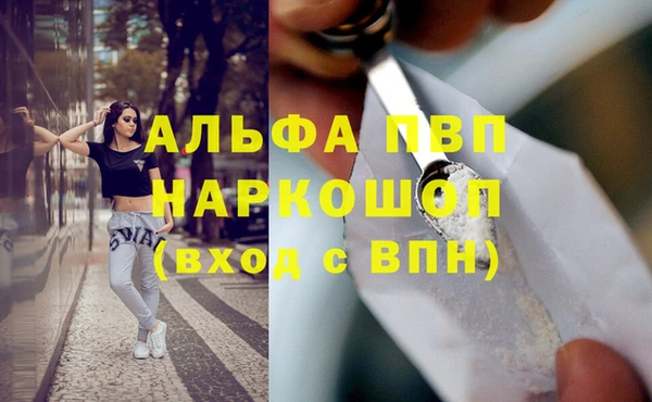 прущие грибы Нягань