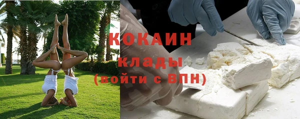 стаф Няндома