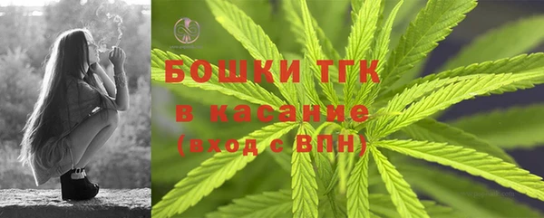 стаф Няндома