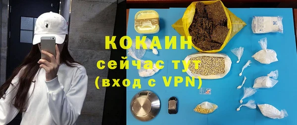 прущие грибы Нягань
