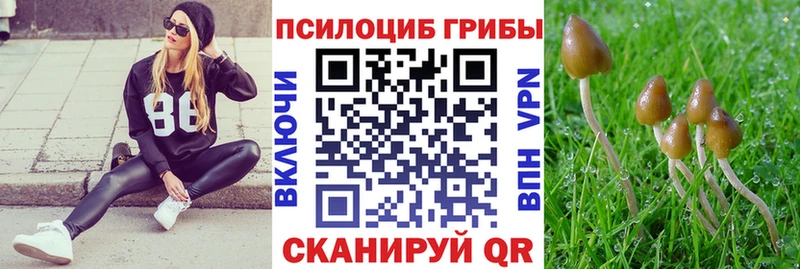 Галлюциногенные грибы прущие грибы  Чебоксары 