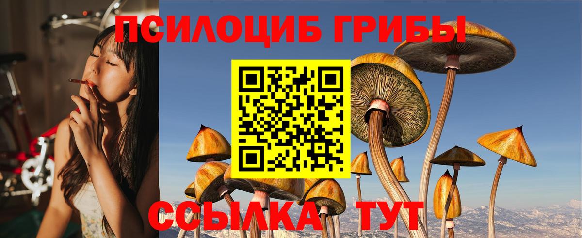 Псилоцибиновые грибы Psilocybe  купить закладку  Чебоксары 