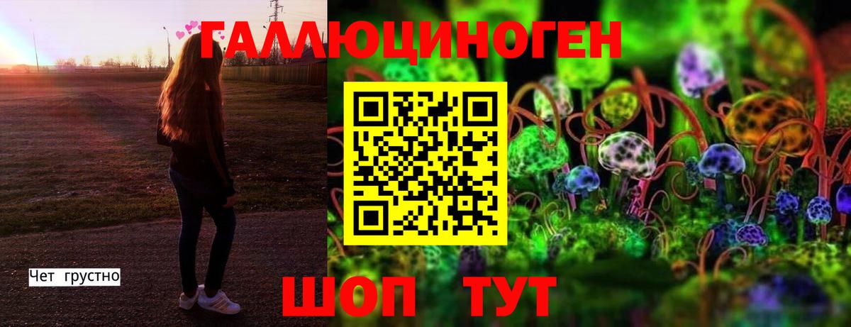 Галлюциногенные грибы Psilocybe  Вход с VPN  Чебоксары 